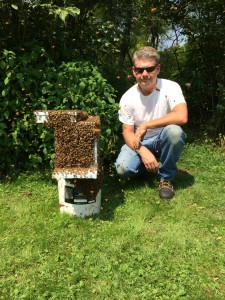 Ryan Kirk and bee colony