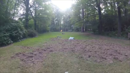 Grubbing Raccoons Lawn Damage | Video | Yard Torn Up