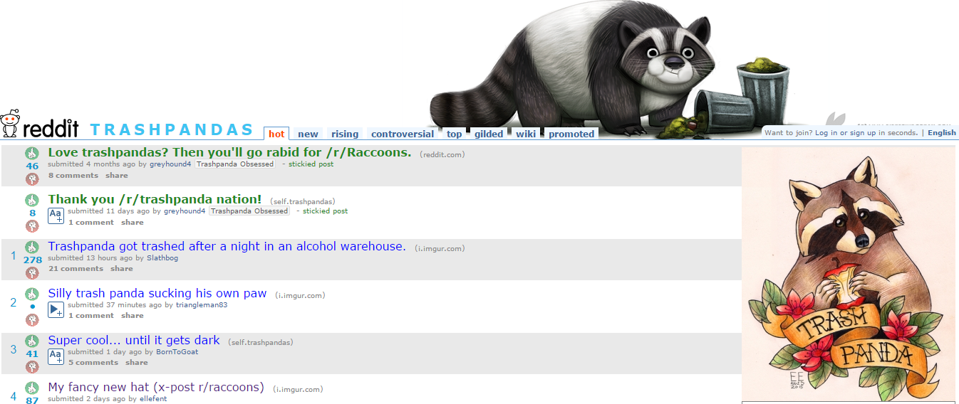 Trash panda reddit
